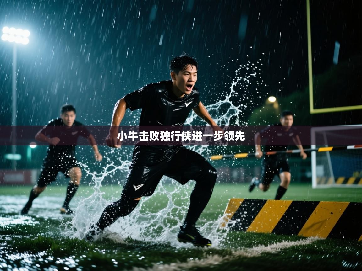 爱游戏娱乐赞助罗马02-小牛击败独行侠进一步领先  第3张