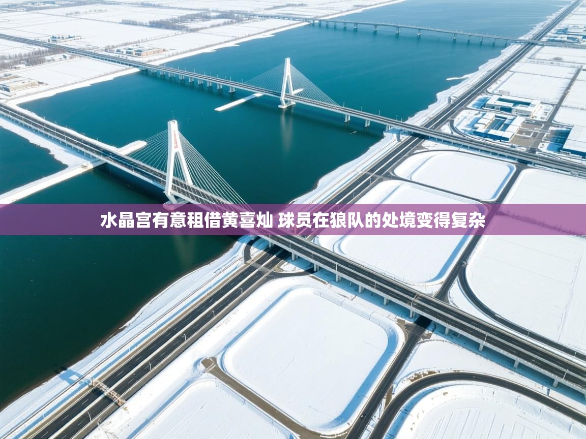 爱游戏在线官网-水晶宫有意租借黄喜灿 球员在狼队的处境变得复杂 第2张