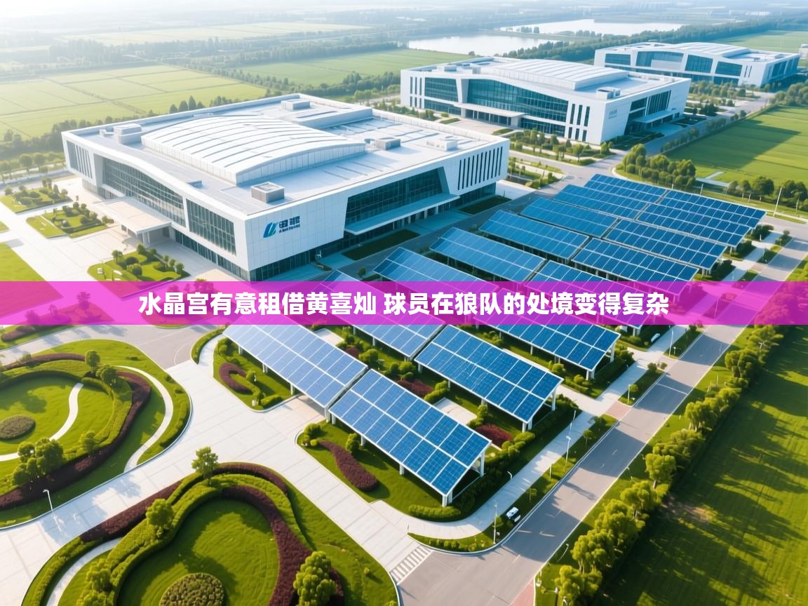 爱游戏在线官网-水晶宫有意租借黄喜灿 球员在狼队的处境变得复杂 第3张