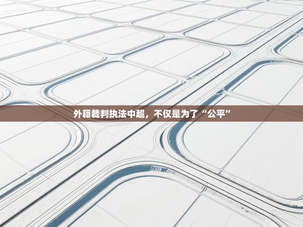 爱游戏体育娱乐马竞赞助商-外籍裁判执法中超，不仅是为了“公平”  第2张