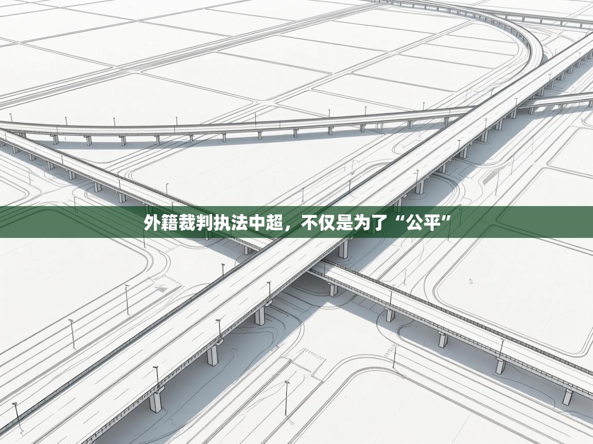 爱游戏体育娱乐马竞赞助商-外籍裁判执法中超，不仅是为了“公平”  第3张