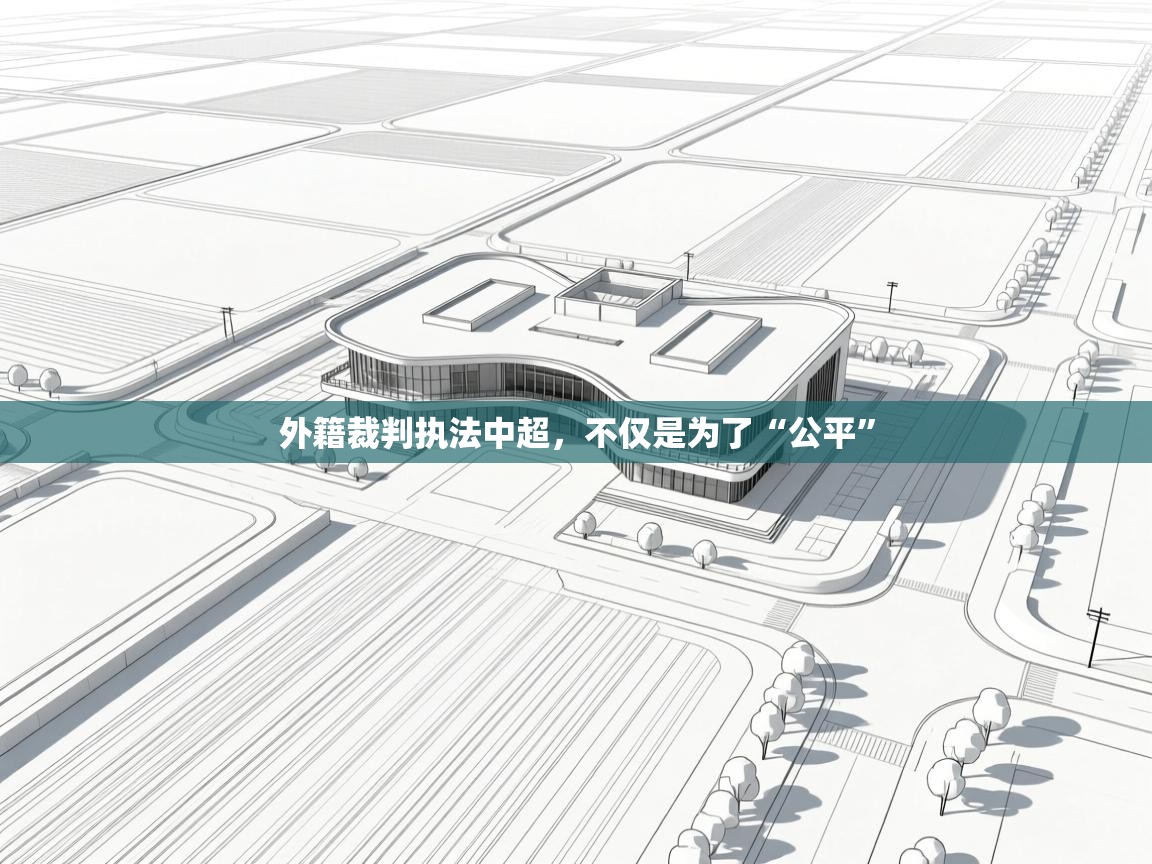 爱游戏体育娱乐马竞赞助商-外籍裁判执法中超，不仅是为了“公平”  第4张