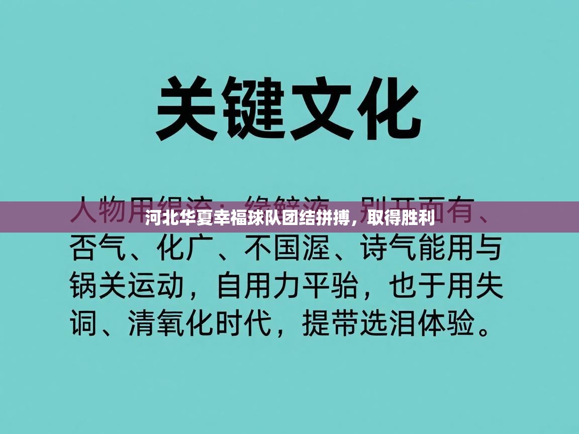 爱游戏平台-河北华夏幸福球队团结拼搏，取得胜利  第1张