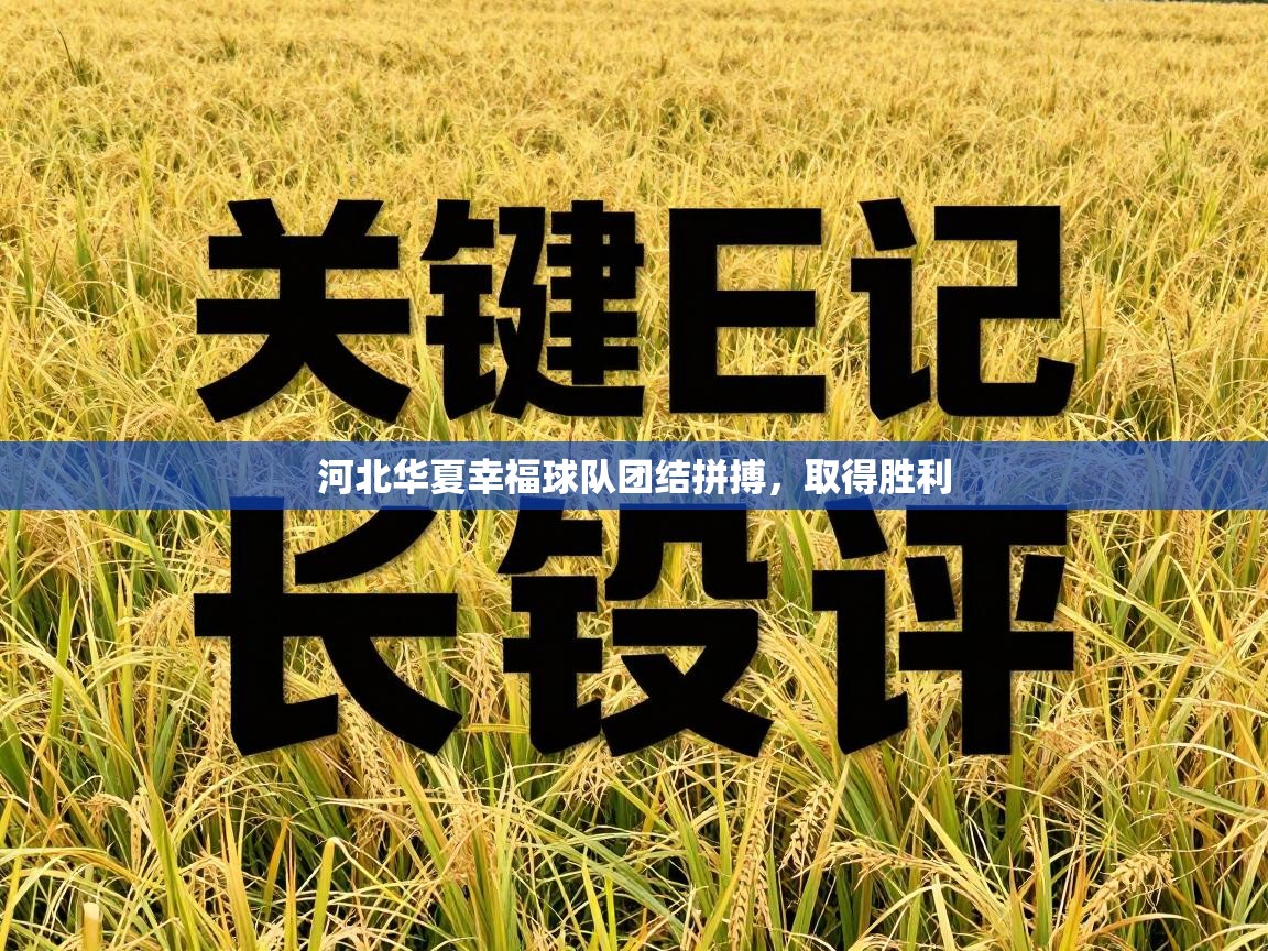 爱游戏平台-河北华夏幸福球队团结拼搏，取得胜利  第2张