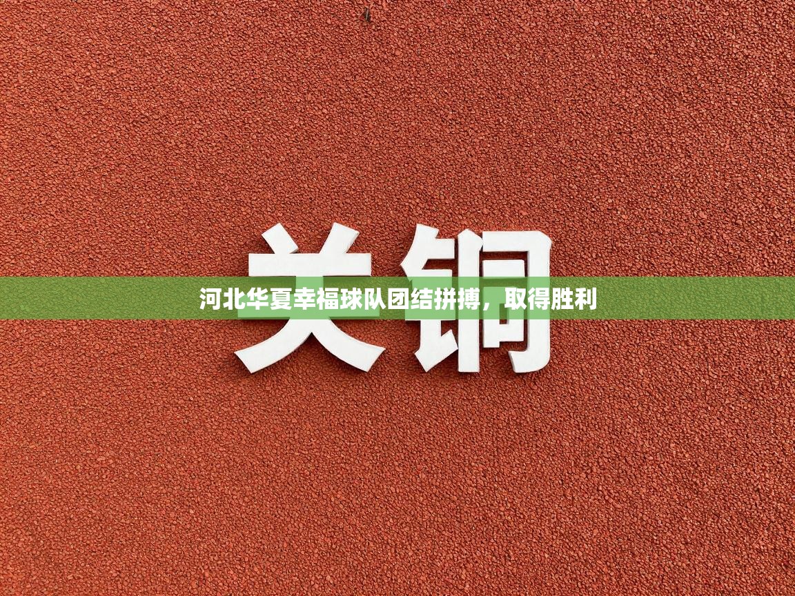 爱游戏平台-河北华夏幸福球队团结拼搏，取得胜利  第3张