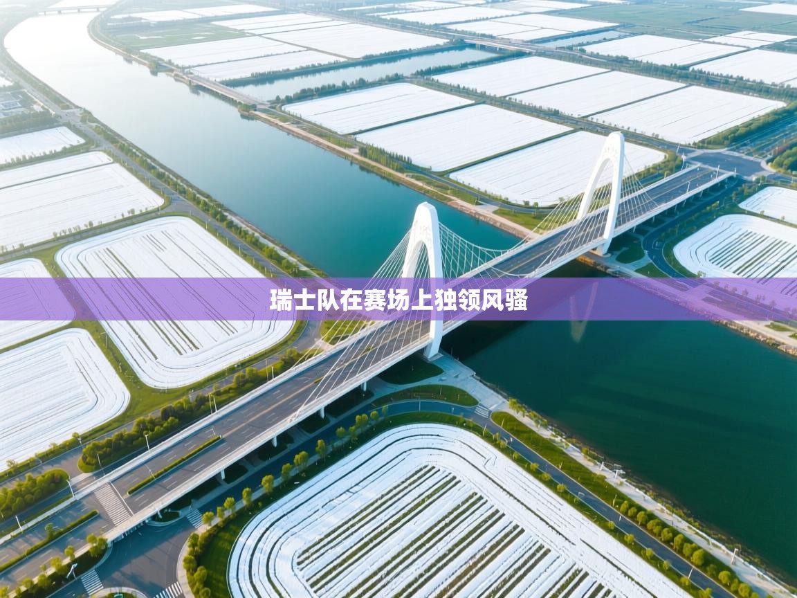 爱游戏真人体育娱乐-瑞士队在赛场上独领风骚 第1张