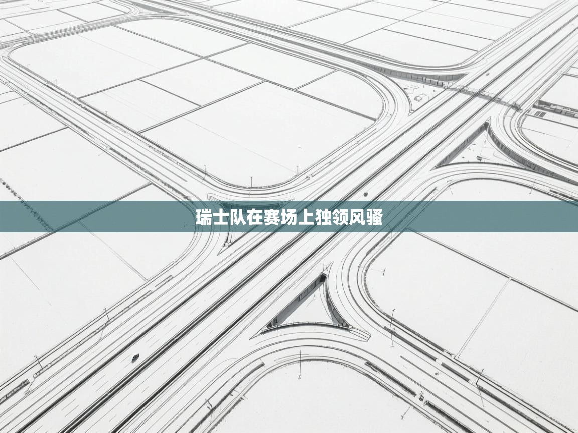 爱游戏真人体育娱乐-瑞士队在赛场上独领风骚 第4张