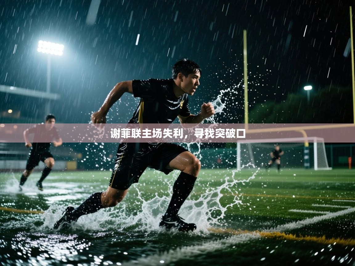 爱游戏体育官网-谢菲联主场失利，寻找突破口  第1张