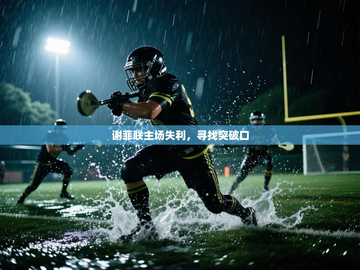 爱游戏体育官网-谢菲联主场失利，寻找突破口  第4张